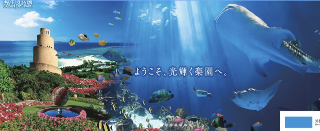 美ら海水族館・黒潮の海水槽|世界最大級のジンベイザメとマンタが泳ぐ圧巻の展示