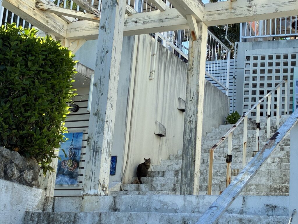 ウミカジテラスの階段（坂が多く抱っこ紐がおすすめ）