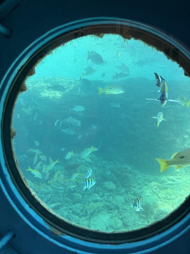 海中展望塔の丸い窓から見た、サンゴ礁と魚の群れ