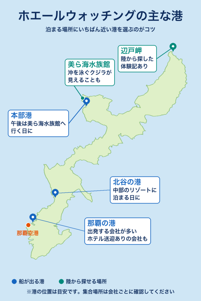 沖縄本島のホエールウォッチングの主な港の地図。那覇・北谷・本部港と、陸から探せる美ら海水族館・辺戸岬の位置